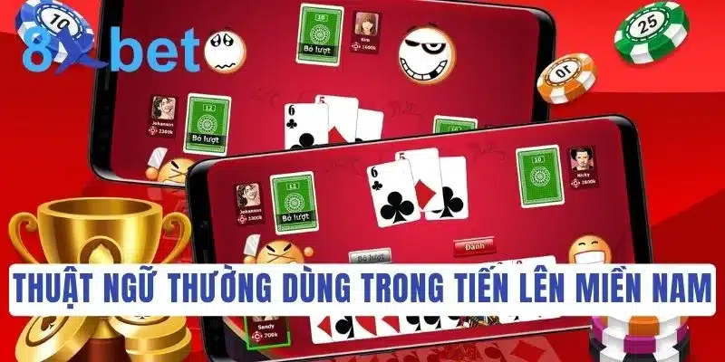 Thuật ngữ dành riêng cho trò chơi Tiến Lên Miền Nam